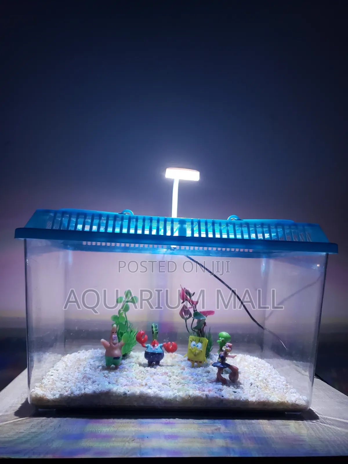 Aquarium Tank