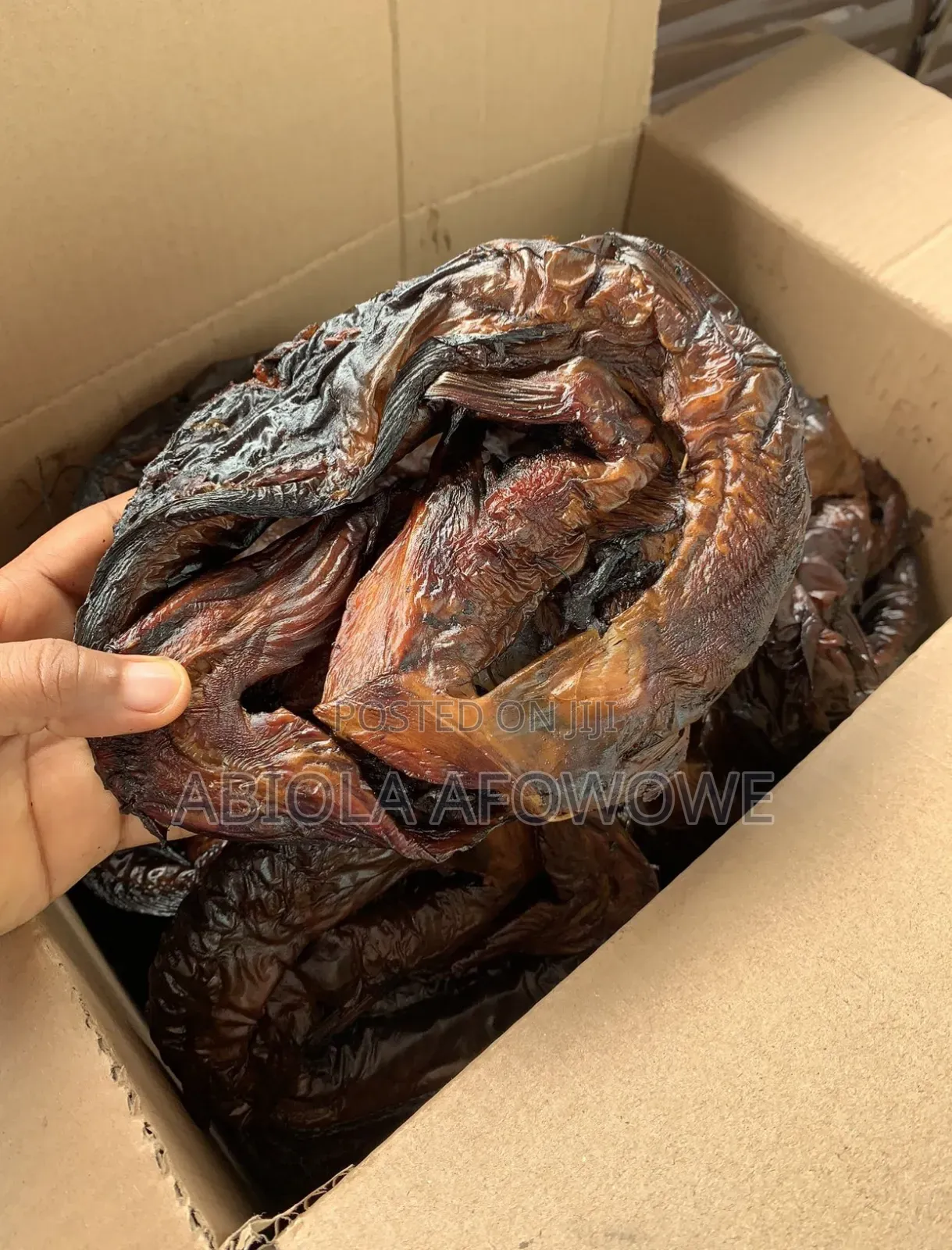 Dried Catfish