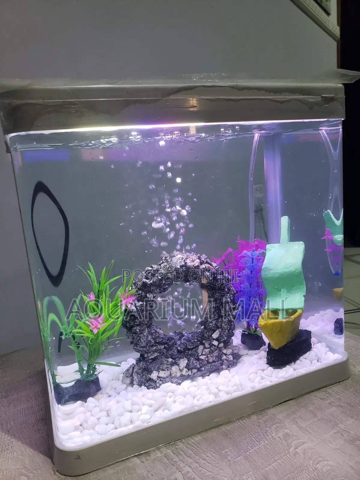 Aquarium Tank
