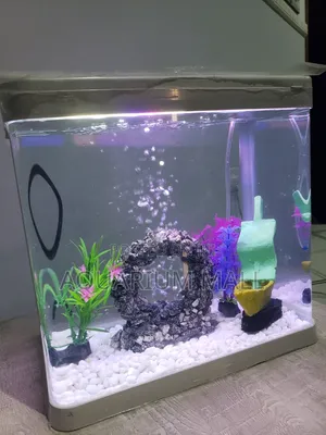 Aquarium Tank