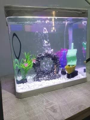 Aquarium Tank