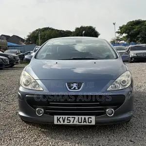 Peugeot 307 CC 2.0 Automatic 2003 Gray