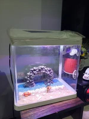 Aquarium Tank