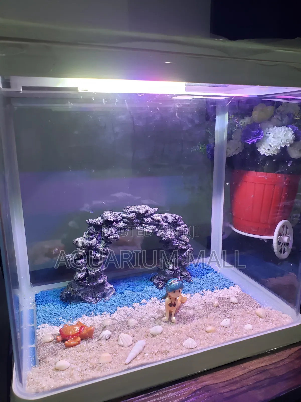 Aquarium Tank