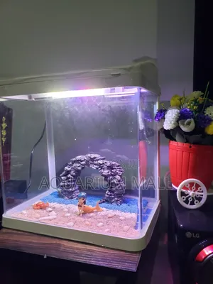 Aquarium Tank