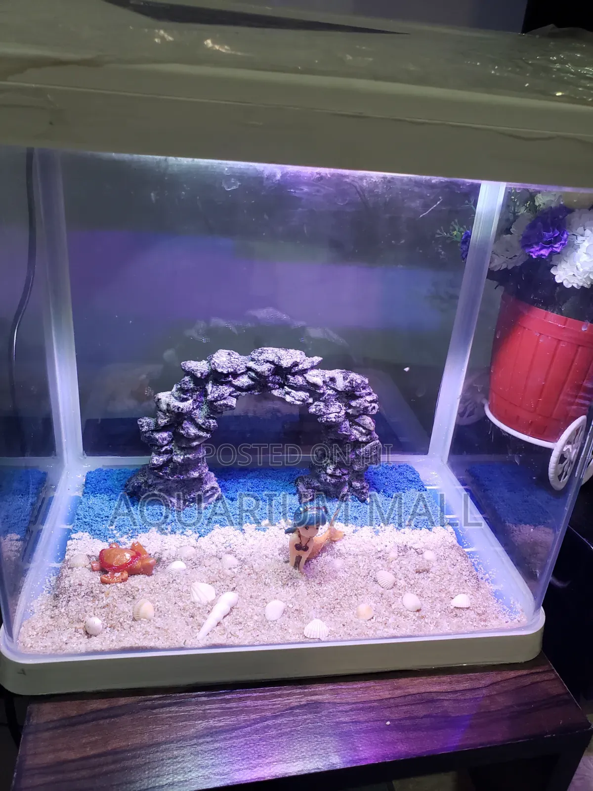 Aquarium Tank