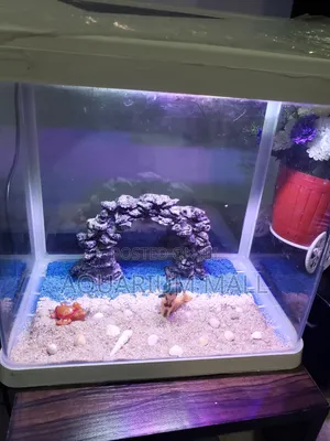 Aquarium Tank