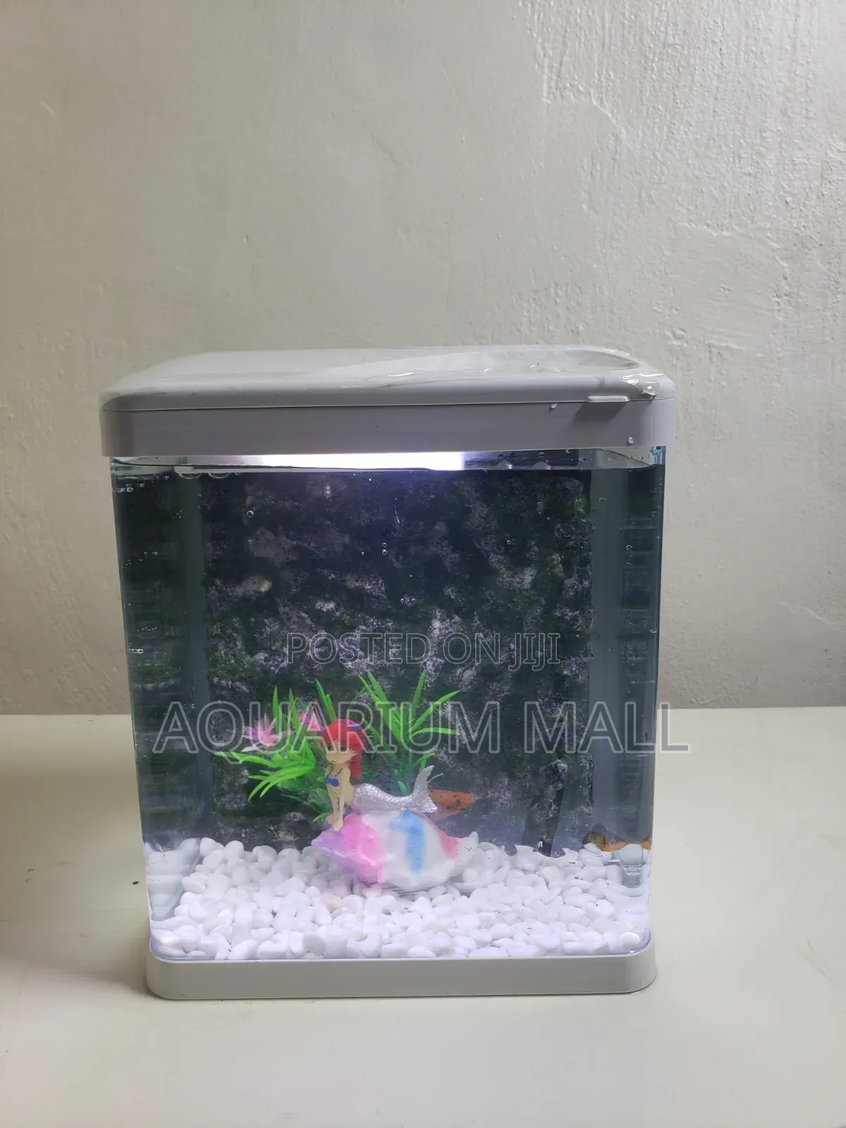 Aquarium Tank