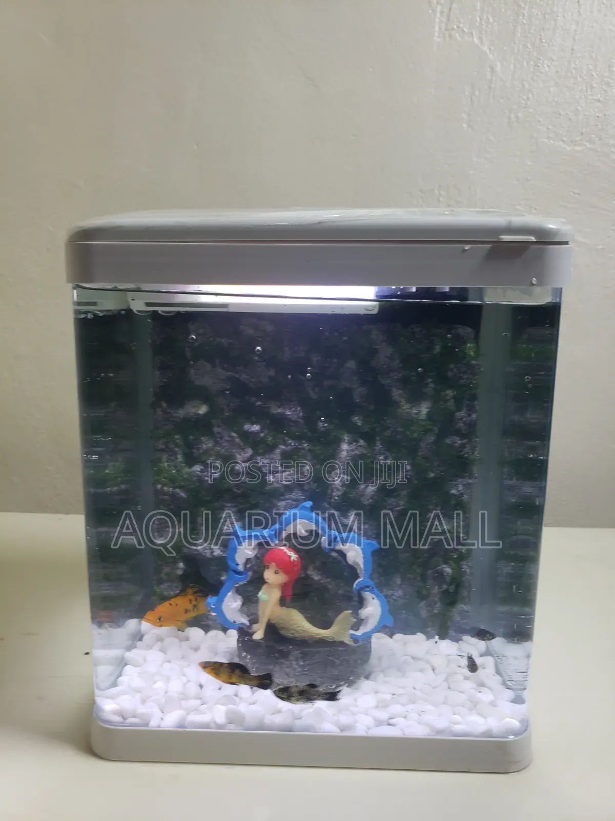 Aquarium Tank
