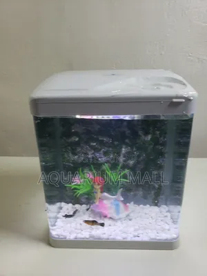 Aquarium Tank