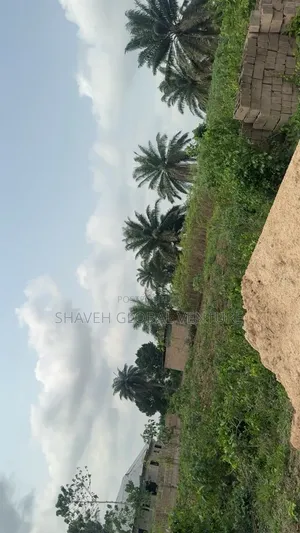 Land for Sale