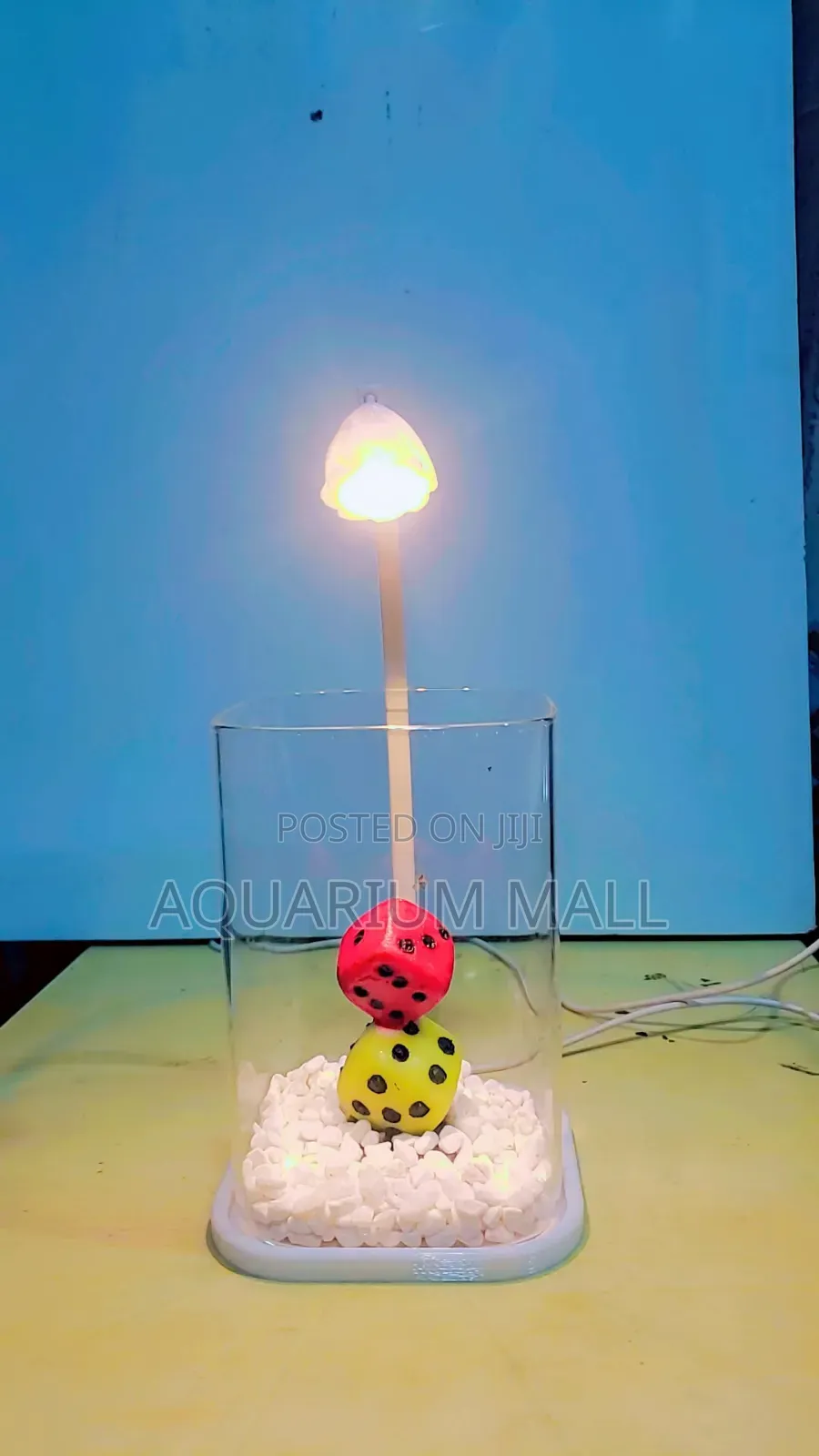 Aquarium Tank