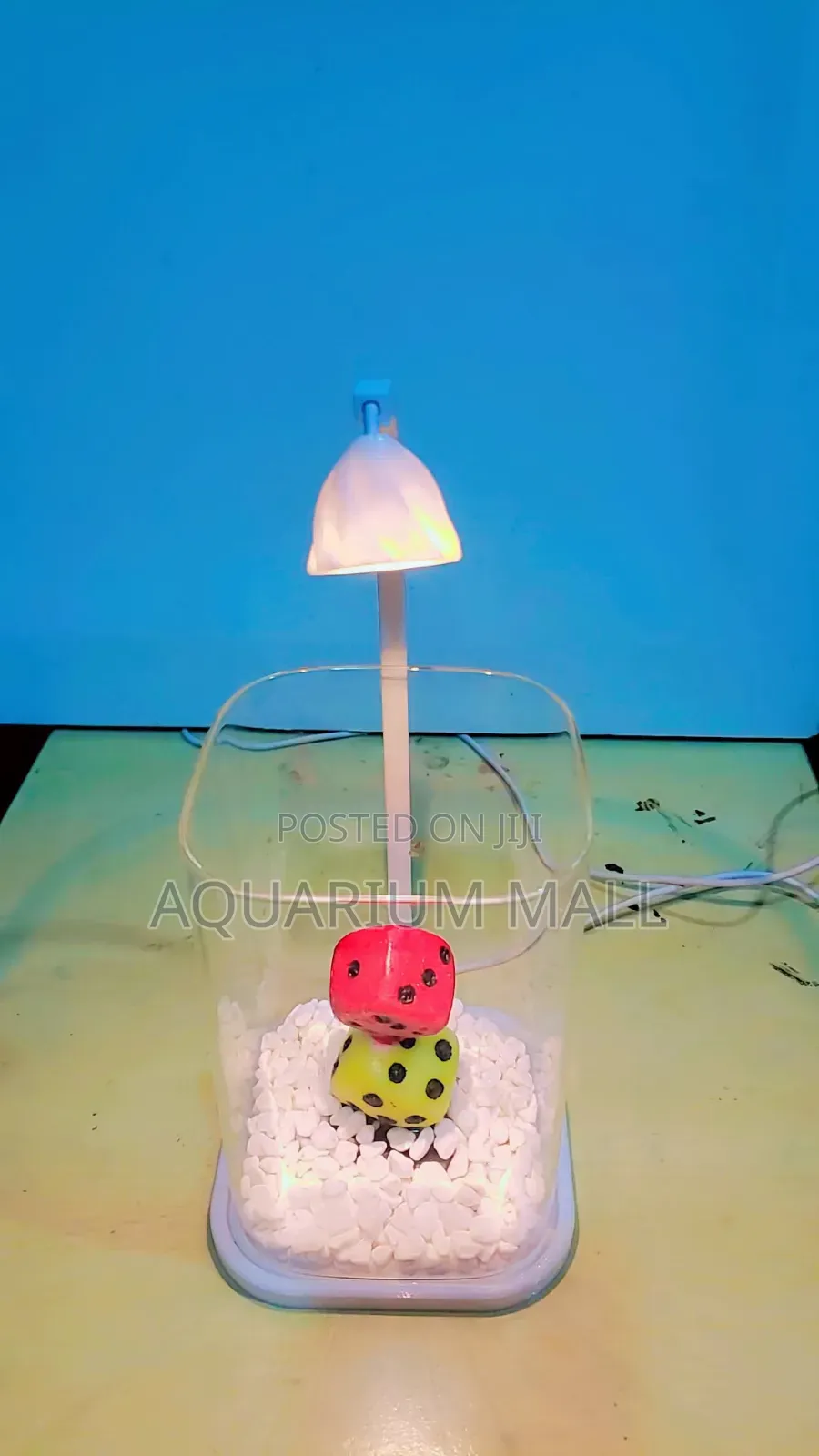 Aquarium Tank