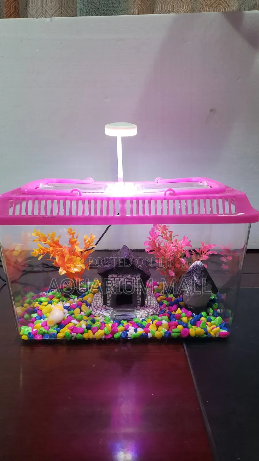 Aquarium Tank