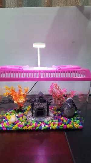 Aquarium Tank