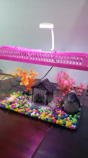 Aquarium Tank