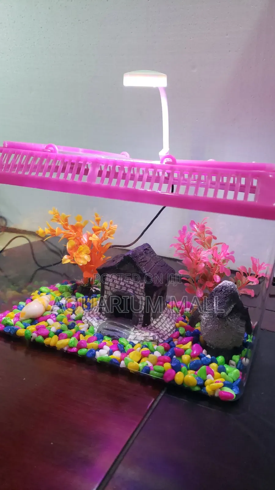 Aquarium Tank