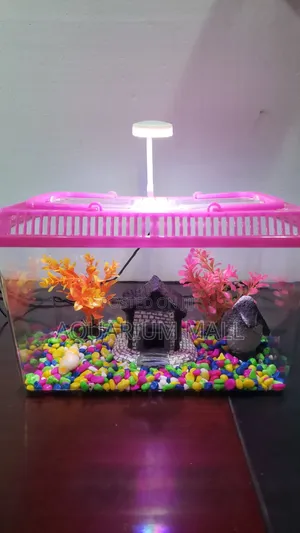 Aquarium Tank