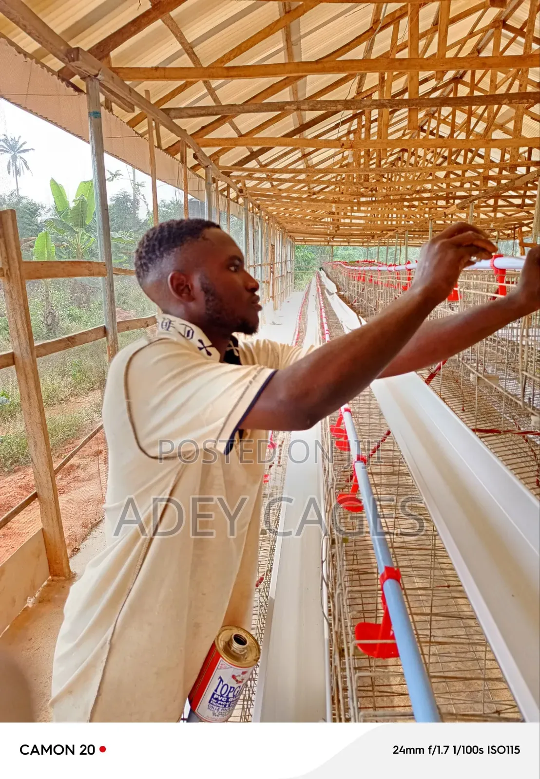 Battery Cage
