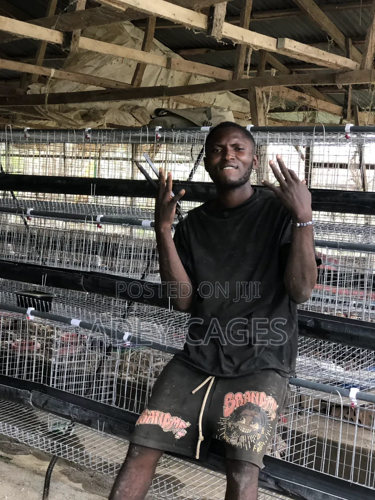 Battery Cage