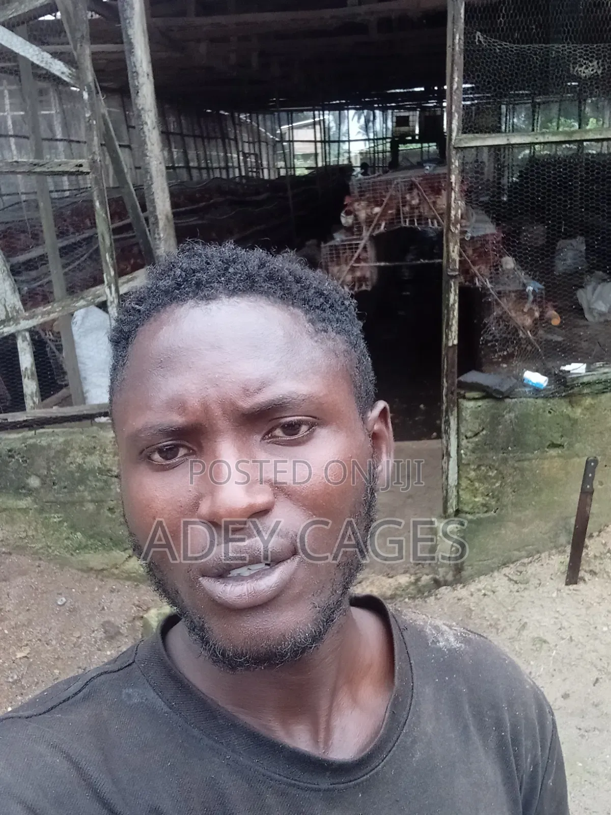 Battery Cage