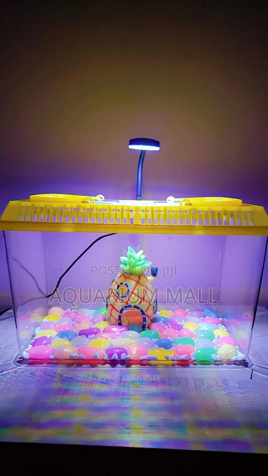 Aquarium Tank