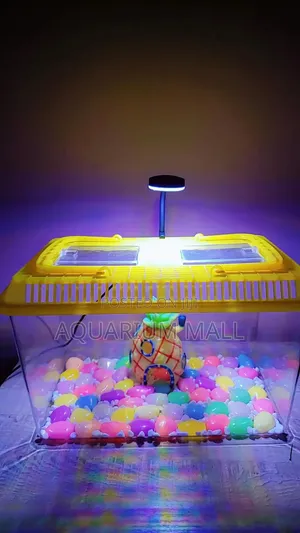 Aquarium Tank