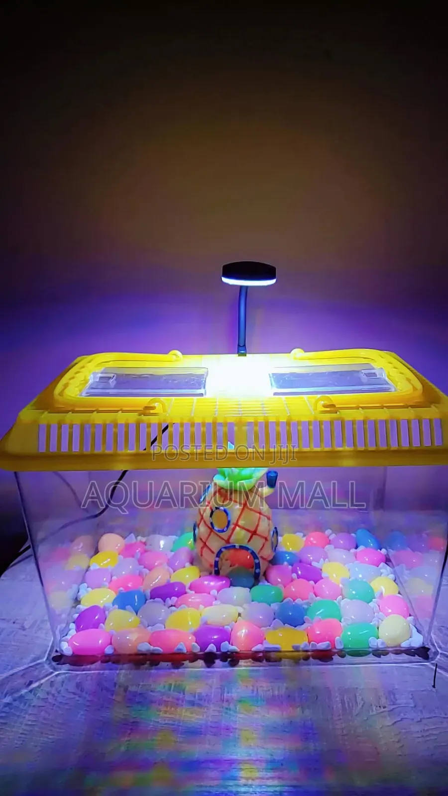 Aquarium Tank