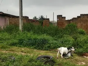 A Plot of Land at Alewetira Community, Okeonti Area, Osogbo