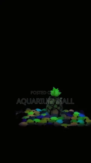Aquarium Tank