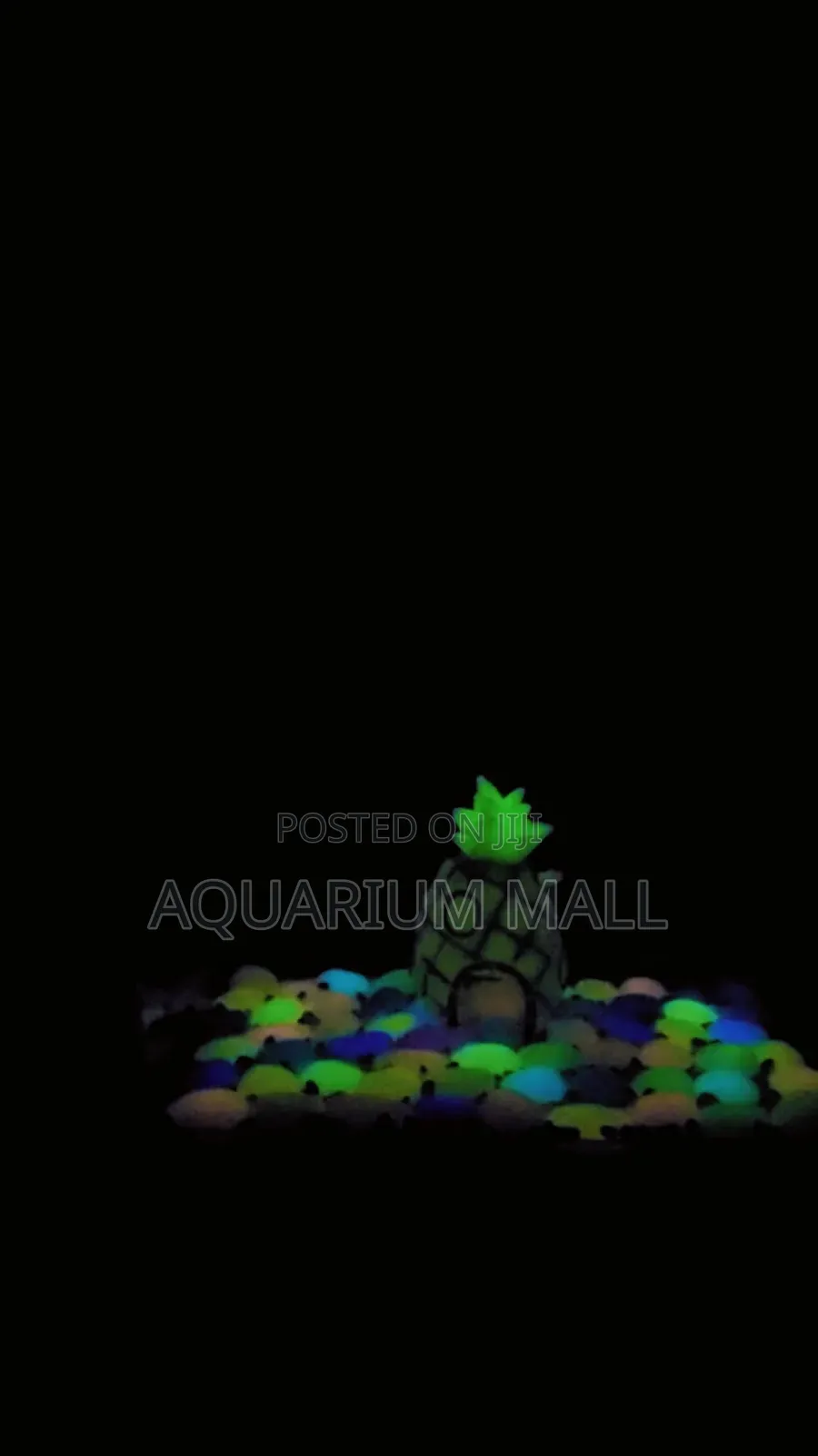 Aquarium Tank