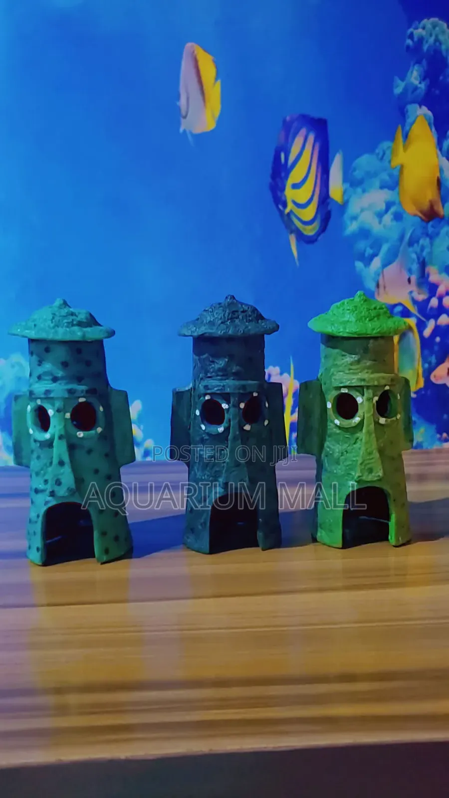 Aquarium Accessories