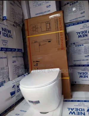 Hanging Toilet Seat