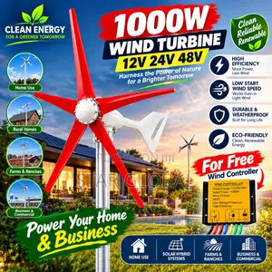 Get 1000W 48Volts Horizontal Wind Turbine Now