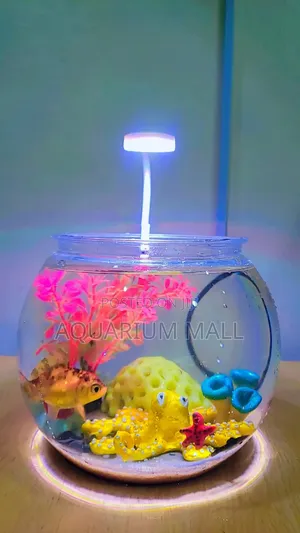 Aquarium Bowl