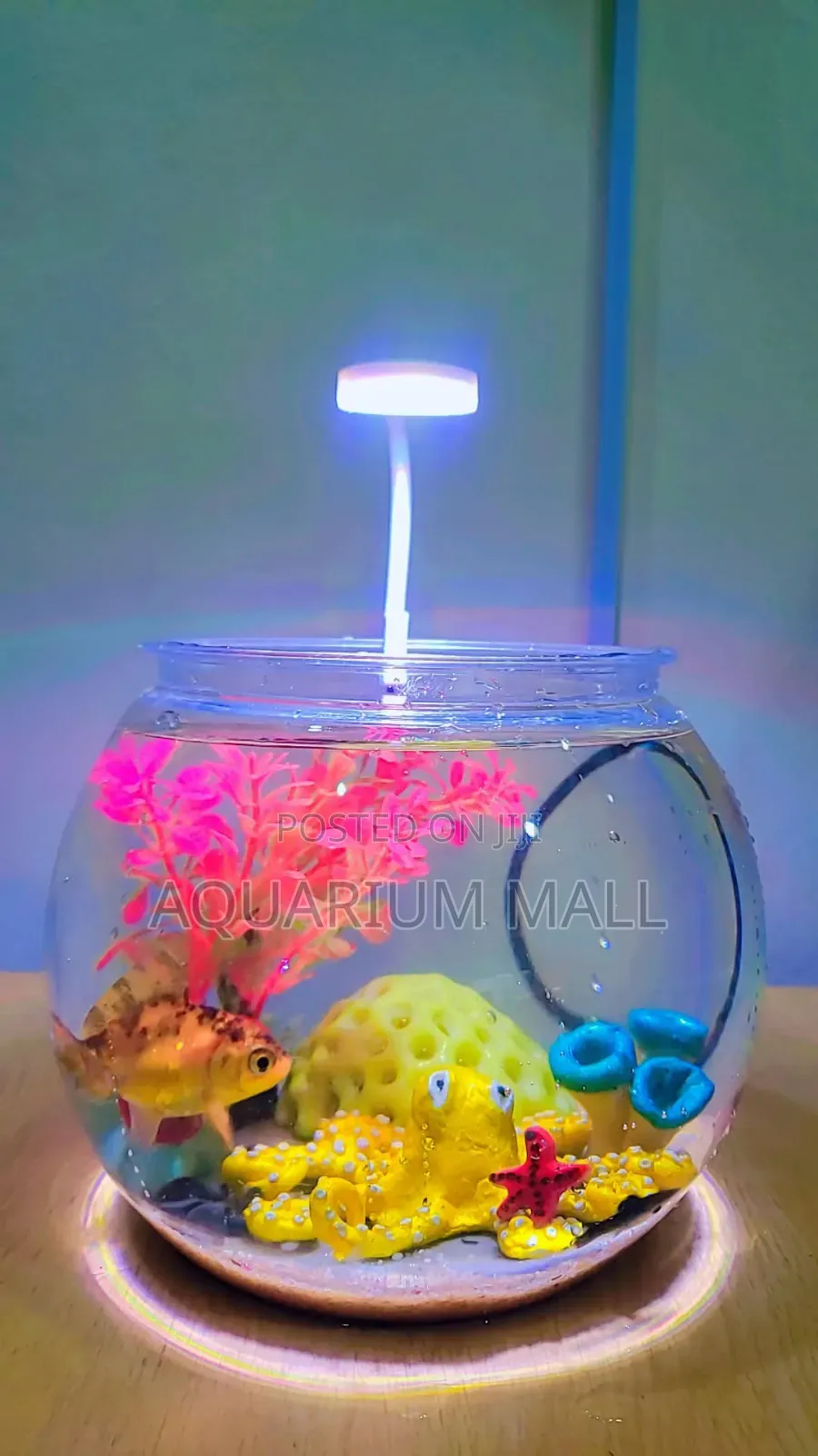 Aquarium Bowl