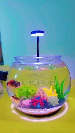 Aquarium Bowl