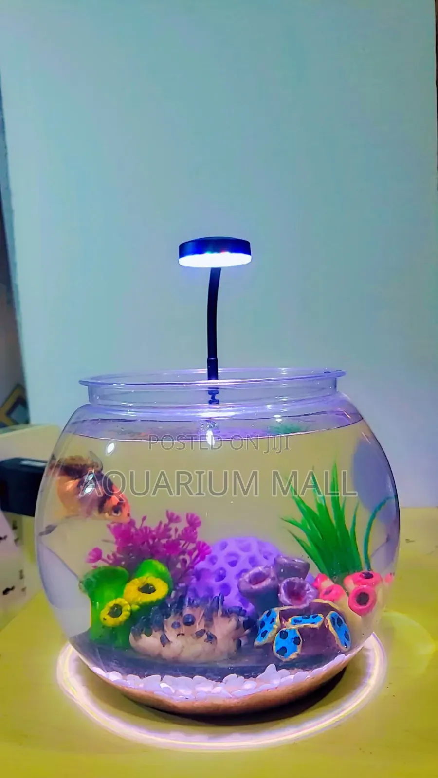 Aquarium Bowl