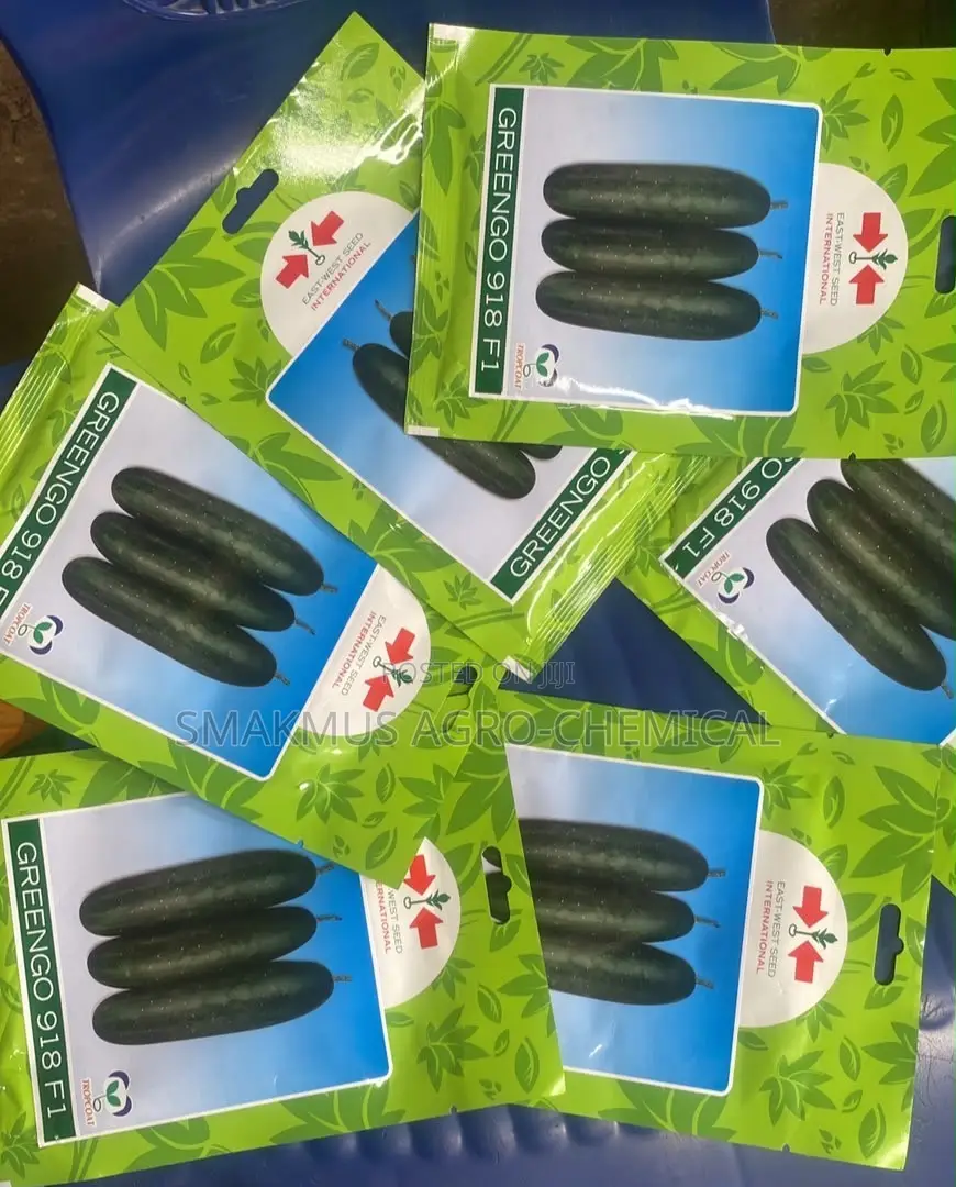 Greengo Cucumber