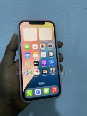 Apple iPhone 12 Pro Max 256 GB Gray