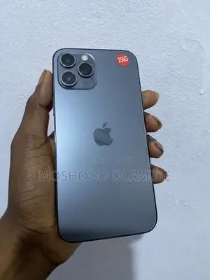 Apple iPhone 12 Pro Max 256 GB Gray