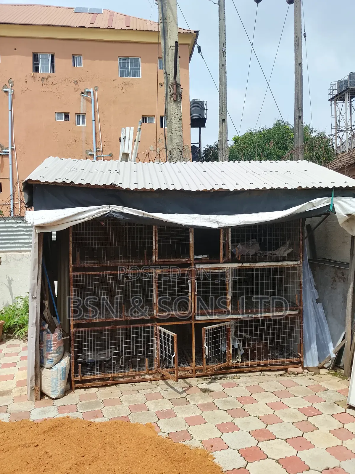 Chicken Cage