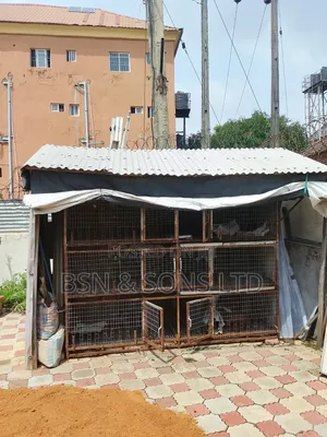 Chicken Cage