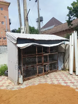 Chicken Cage