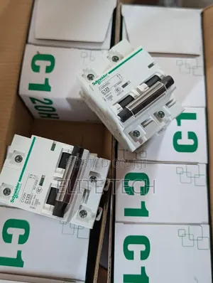 Original Schneider C125 2-Pole Circuit Breakers (Heavy Duty)