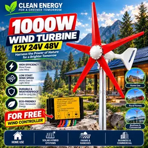 Order 48V 1000W Horizontal Wind Turbine Right Now