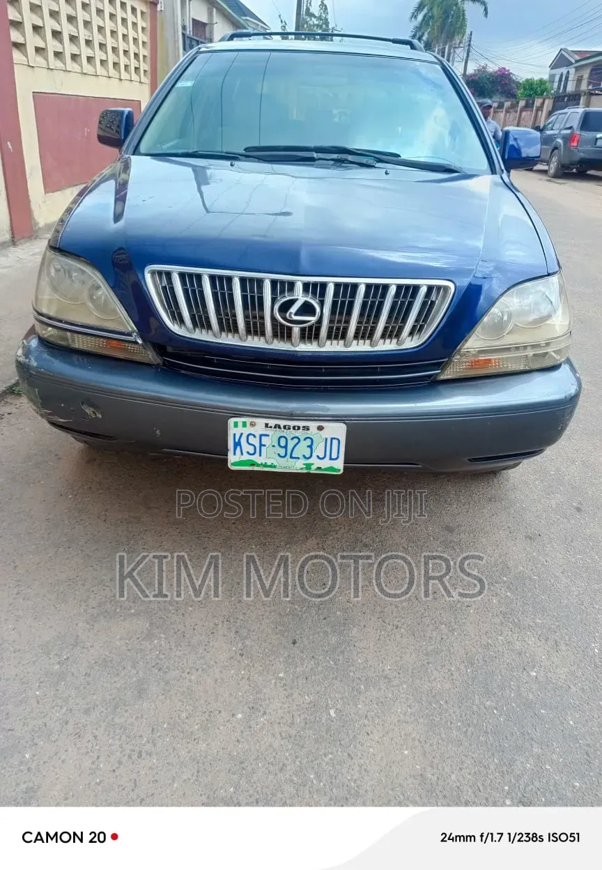 Lexus RX 2003 Blue