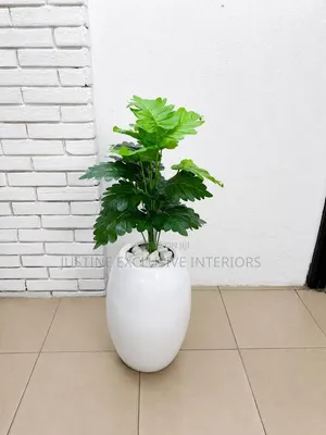 Artificial Palm Tree & Vase