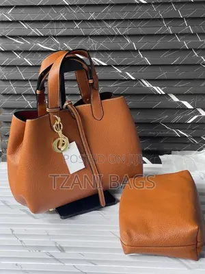 2 in 1 Handbag