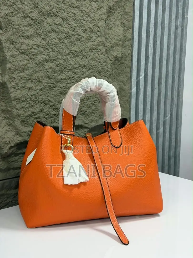2 in 1 Handbag